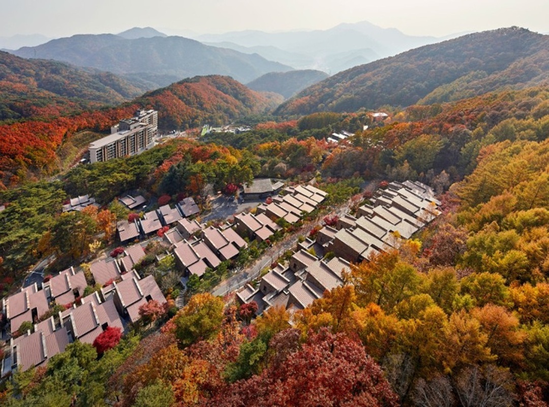 Forest Resom Jecheon