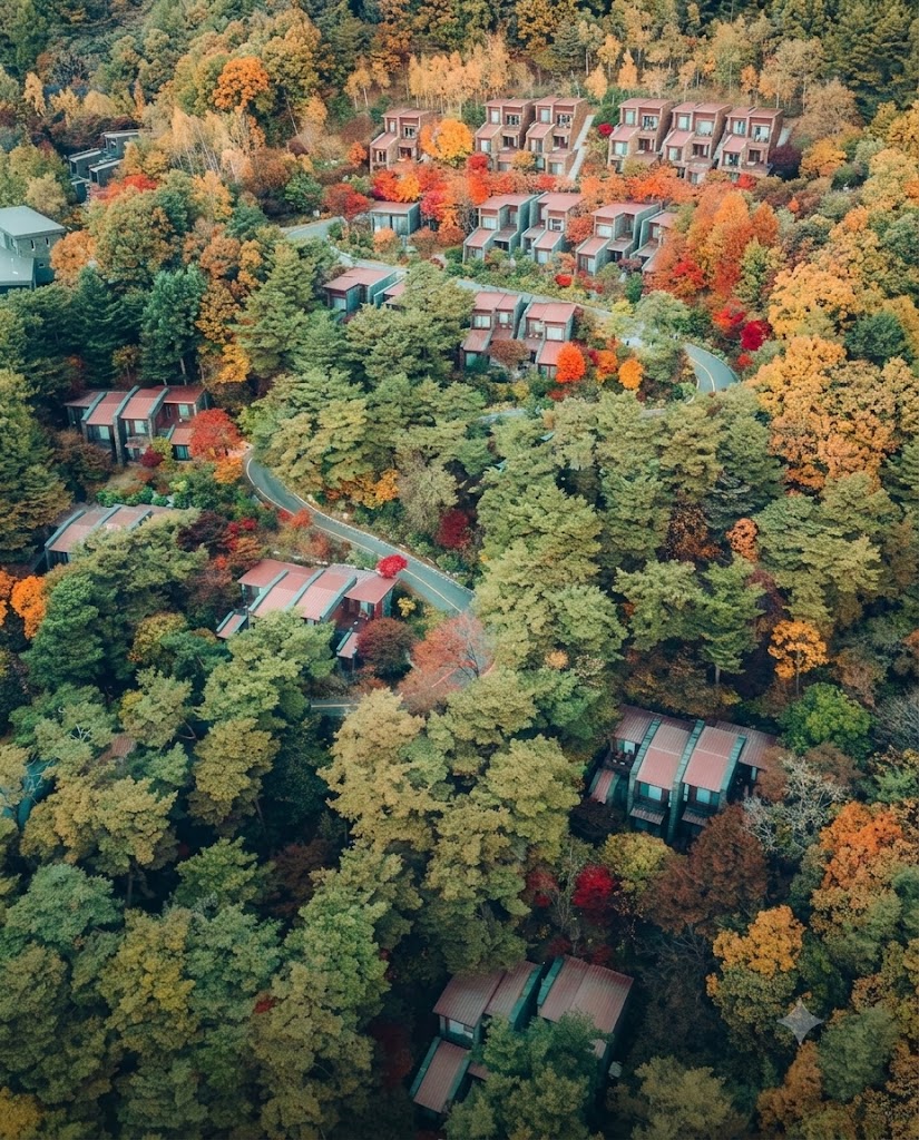 Freestanding stone villas at Forest Resom surrounded by vibrant autumn foliage and pine trees
