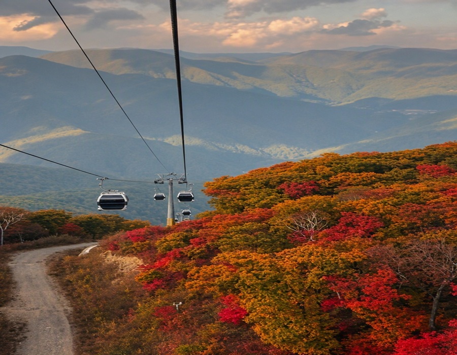 Gariwangsan Mountain Cable Car ascending through vibrant autumn red foliage near Park Roche Resort